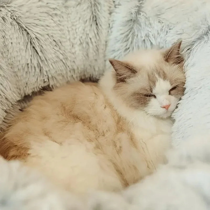 Plush Pet Tunnel Bed