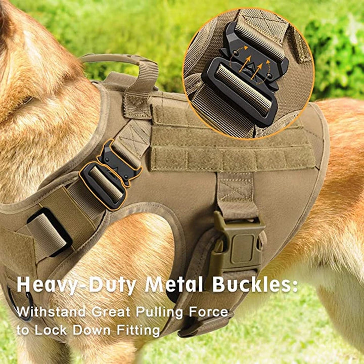 Tactical Military Dog Vest & Leash Set