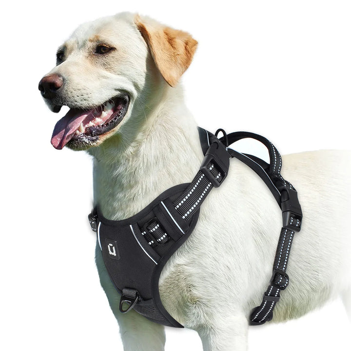 EasyControl Harness