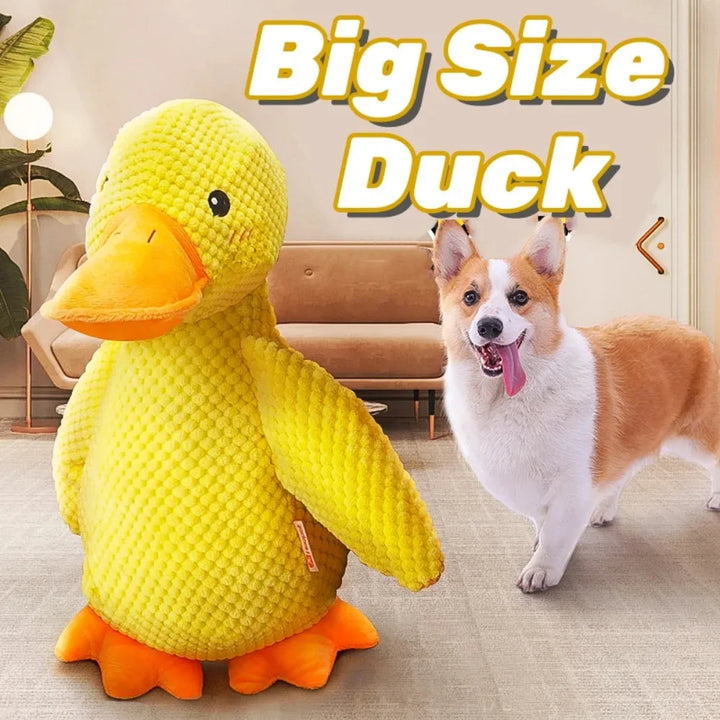 Big Size Duck