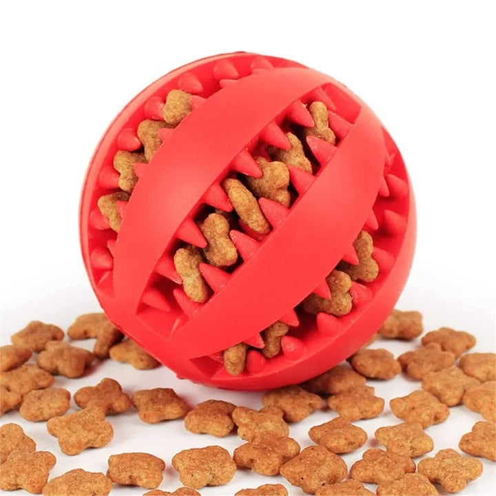 Interactive Rubber Dog Toy Ball