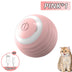 Smart Ball for Cats