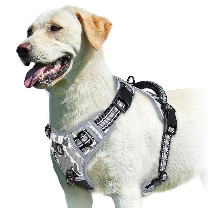 EasyControl Harness