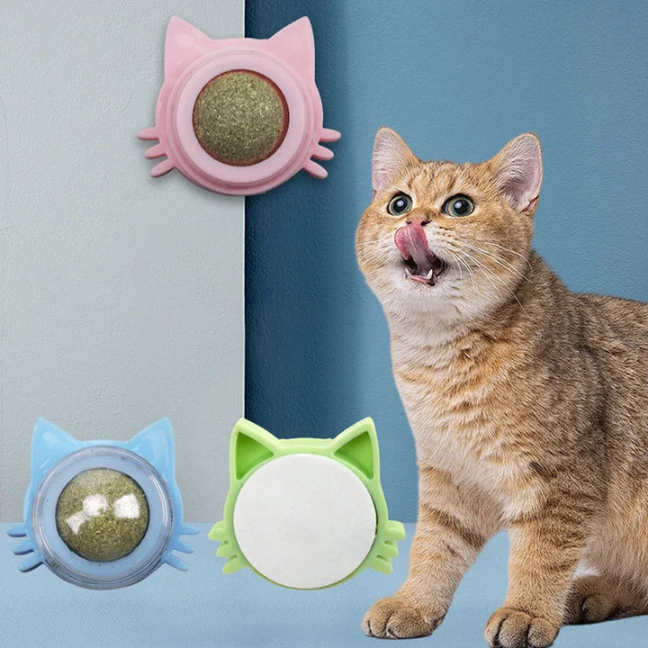 Catnip Ball Toys