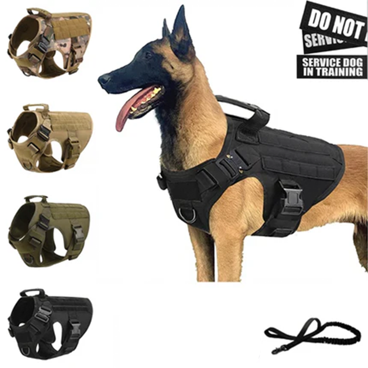 Tactical Military Dog Vest & Leash Set